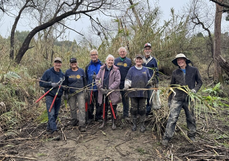 Environmental Moment – Arundo Donax Clean Up